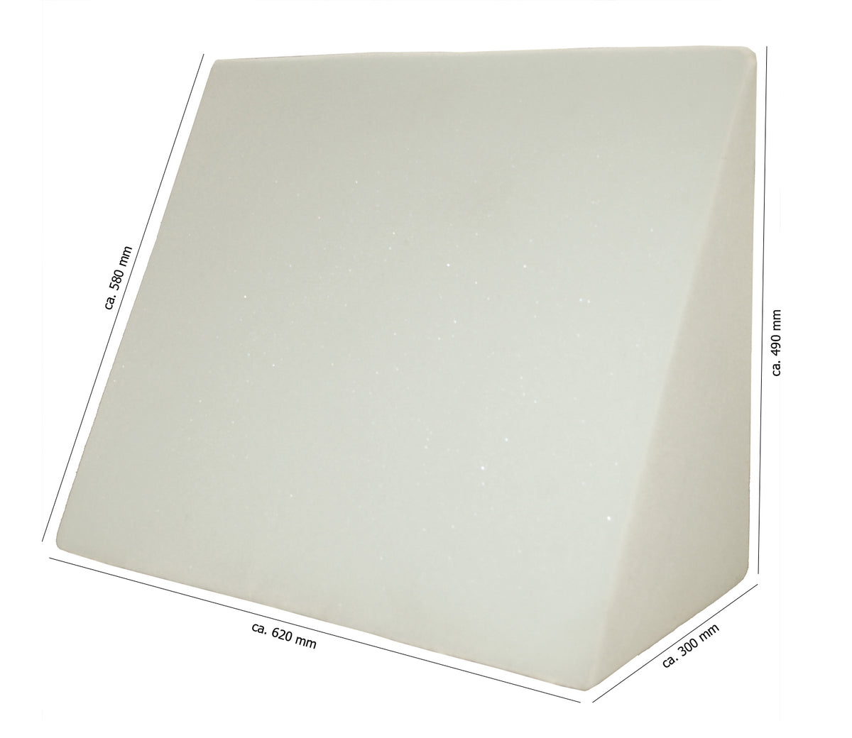 Masszeichnung: Hoehe circa 490 mm, Tiefe circa 300 mm, Breite circa 620 mm und einer Diagonale von circa 580 mm